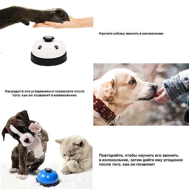 Дзвіночок інтерактивний для тренування собак та котів, дресирування, без акумулятора. - 3 фото товару